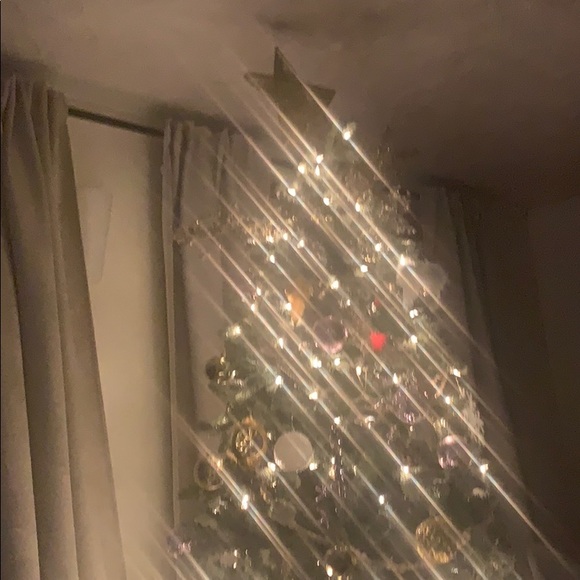 Meet your Posher, Zoey - Picture 1 of 1